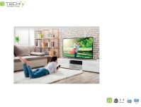 Uchwyt ścienny Techly LCD/LED 19
