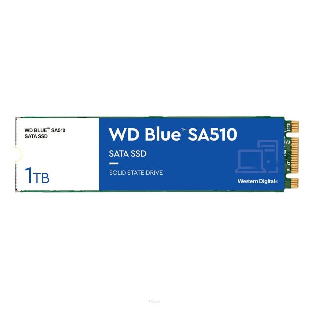 Dysk SSD WD Blue SA510 1TB M.2 SATA 2280 (560/520 MB/s) WDS100T3B0B