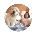 Płyty DVD+R DL Verbatim DataLife Plus 8.5GB 8x Wide Thermal Printable (Spindle 50) - 2