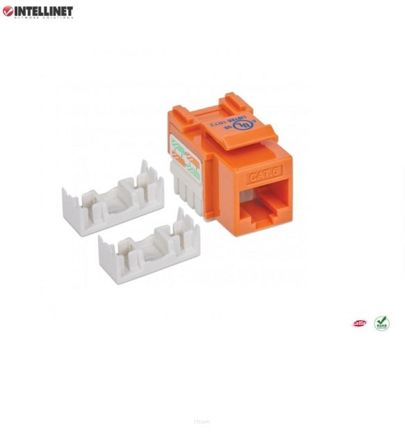 Moduł Keystone Intellinet RJ45 UTP Cat.6, pomarańczowy