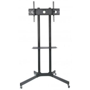 Stojak mobilny Techly 30"-65", 60kg regulowany