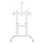 Stojak mobilny Techly 70