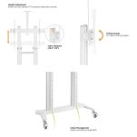 Stojak mobilny Techly 70