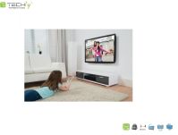 Uchwyt ścienny Techly 13