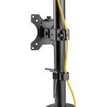 Uchwyt biurkowy DIGITUS pionowy 2xLCD max. 32