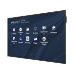 Monitor ViewSonic CDE7530 75